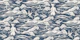 Coastal reverie in indigo blue