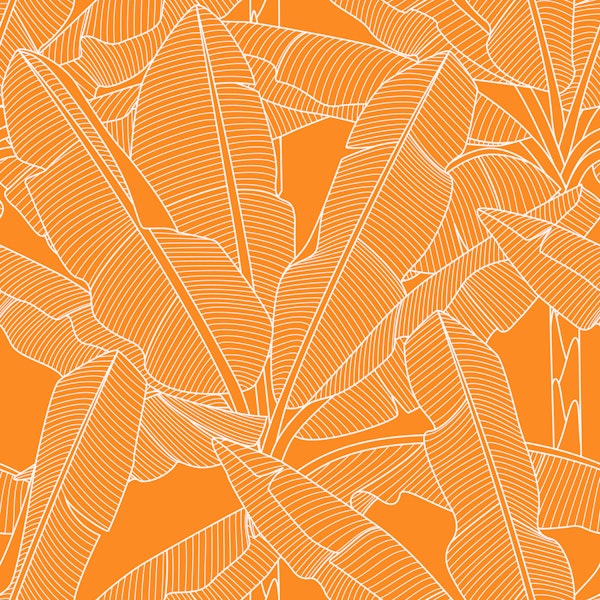 Banana Palms - White Lines Flame Orange