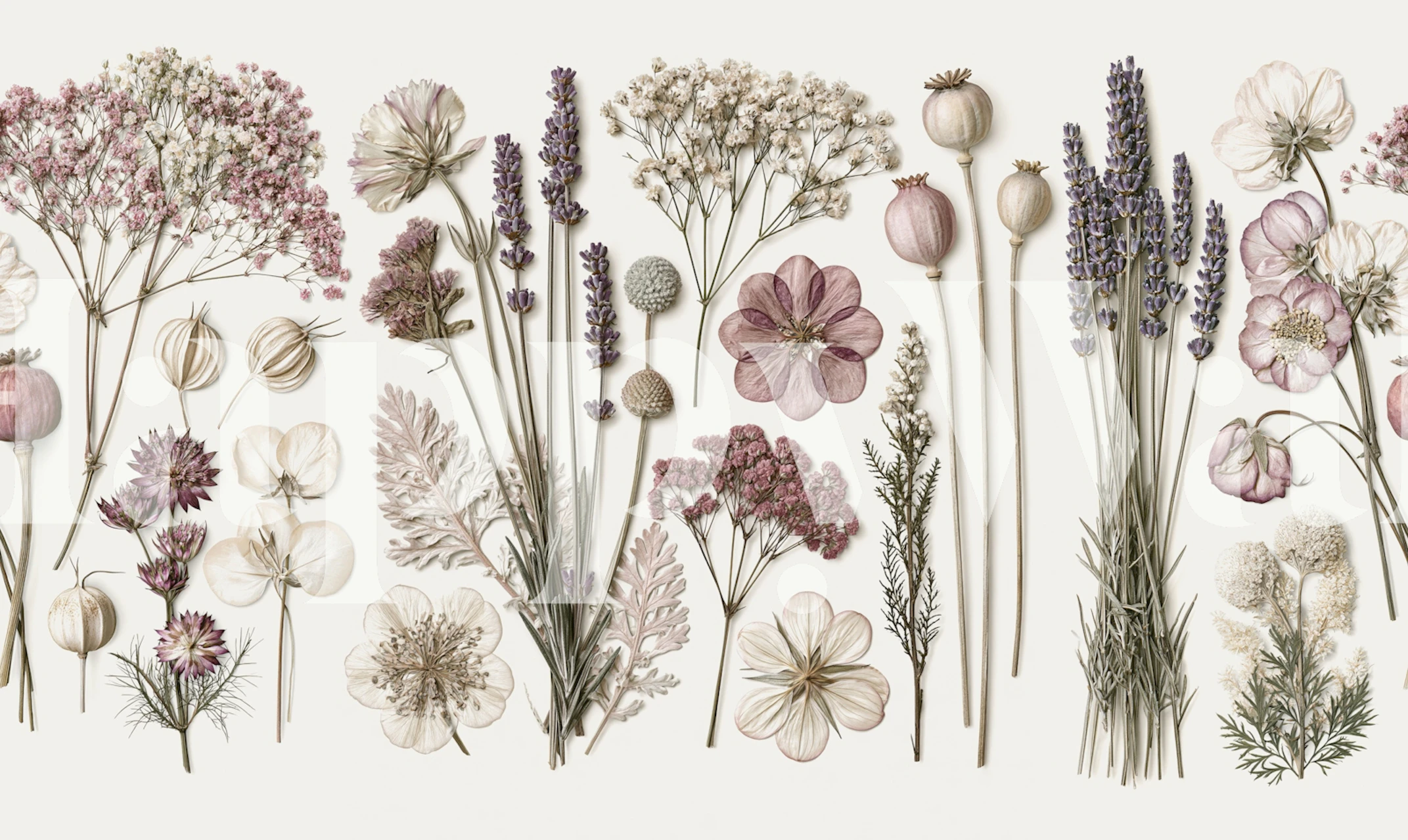 Faded Botanical Stillness wallpaper