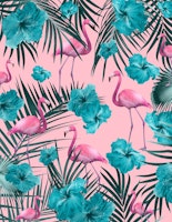 Tropical Flamingo Hibiscus 1 wallpaper