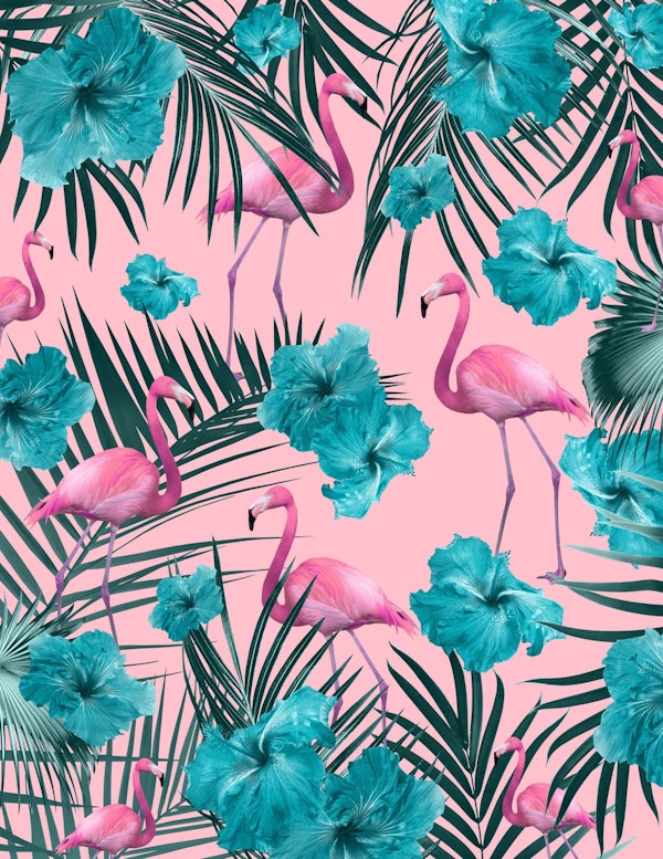 Tropical Flamingo Hibiscus 1