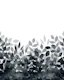 Elegant Shadow Foliage