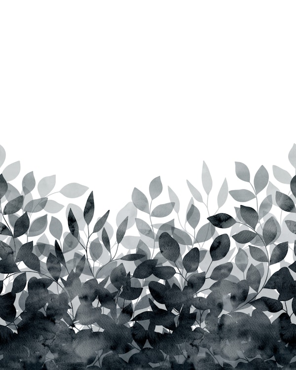 Elegant Shadow Foliage