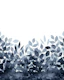 Elegant Blue Shadow Foliage