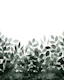 Elegant Sage Shadow Foliage