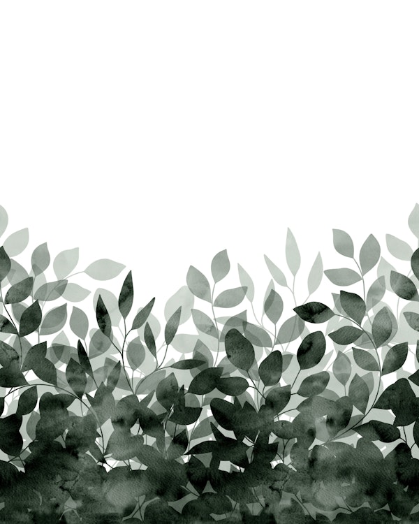 Elegant Sage Shadow Foliage