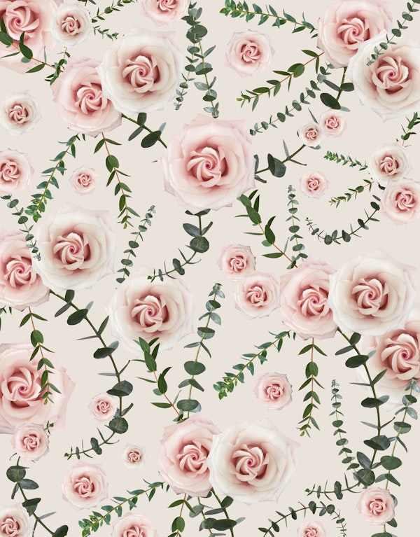 Blush Beauty Rose Eucalyptus 1