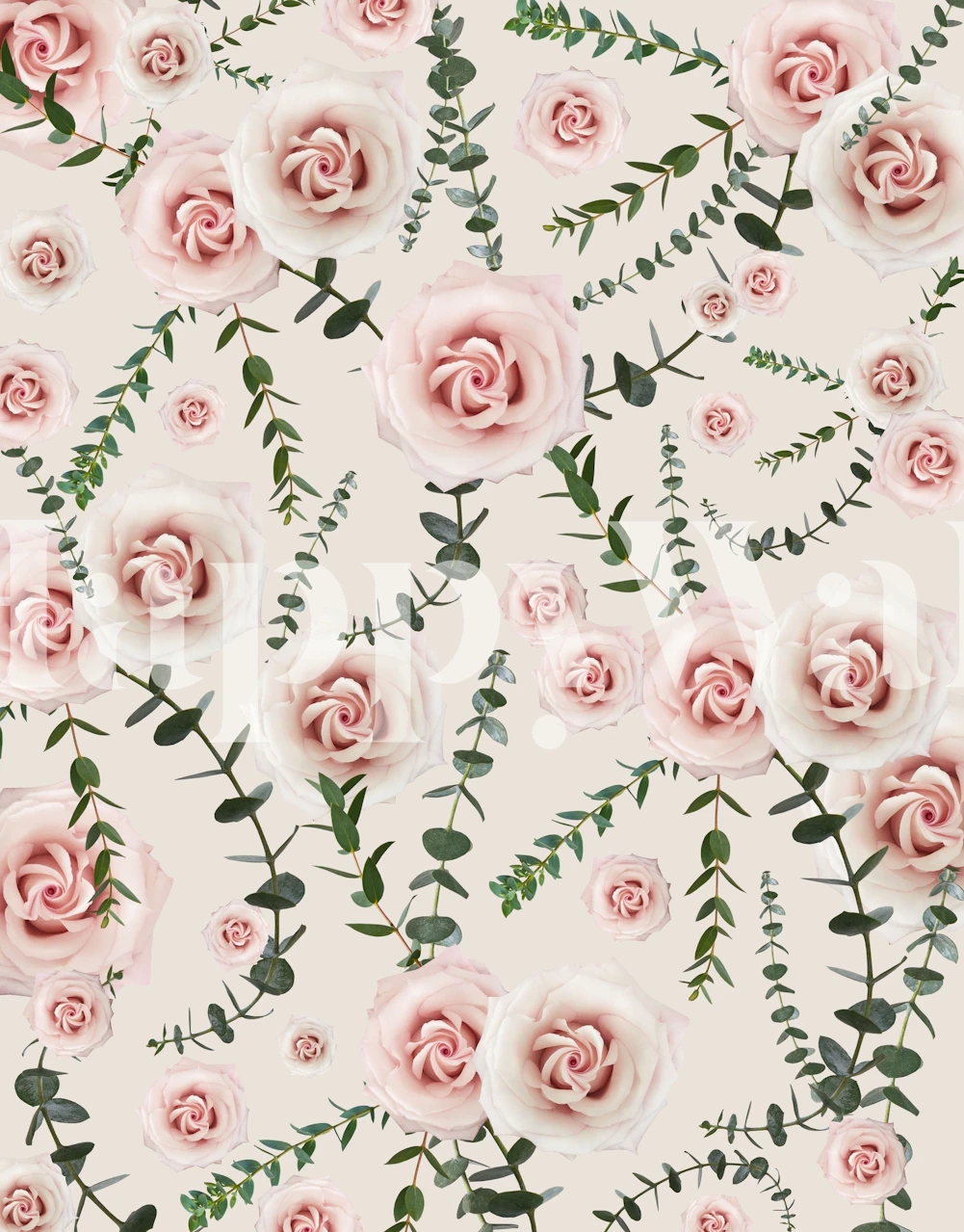 Blush rosa roser og grønn eukalyptus veggmaleri design