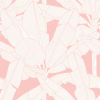 Banana Palms - Gossamer Pink wallpaper