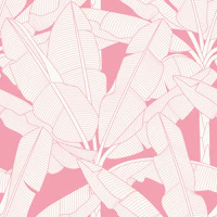 Banana Palms - Palm Springs Pink wallpaper