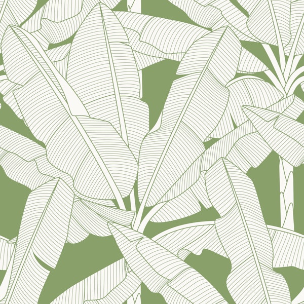 Banana Palms- Green Tendril