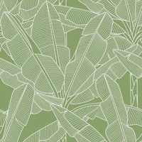 Banana Palms - White Lines Green Tendril wallpaper