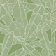 Banana Palms - White Lines Green Tendril