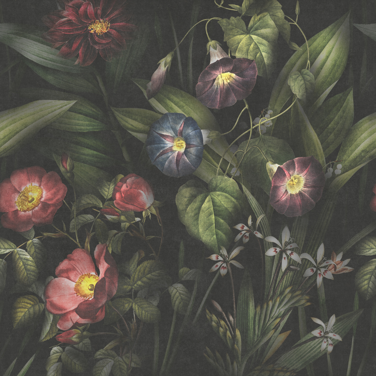 stilllife