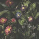 Stilleven - still life with flowers & leaves