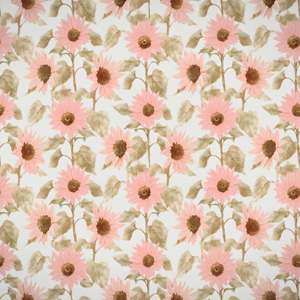 Blush Sunflowers Watercolor
