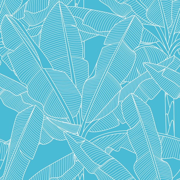 Banana Palms - White Lines Bachelor Button Bl