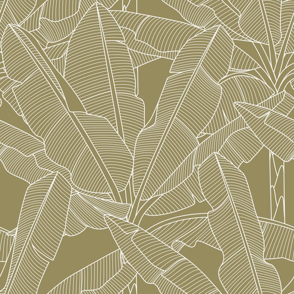 Banana Palms - White Lines Willow