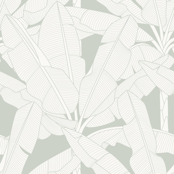 Banana Palms - Sea Salt