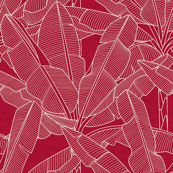 Banana Palms - White Lines Jester Red Texture