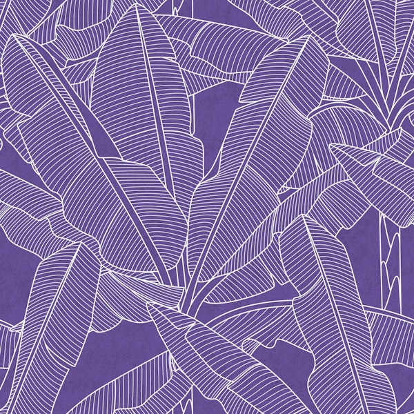 Banana Palms - White Lines Ultraviolet Textur