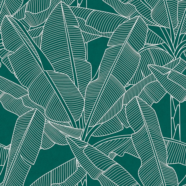 Banana Palms - White Lines Dark Green Texture