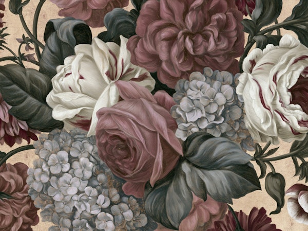 Dusty Rose Hydrangea Blooms