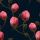 Pink hand painted rosebuds on navy L