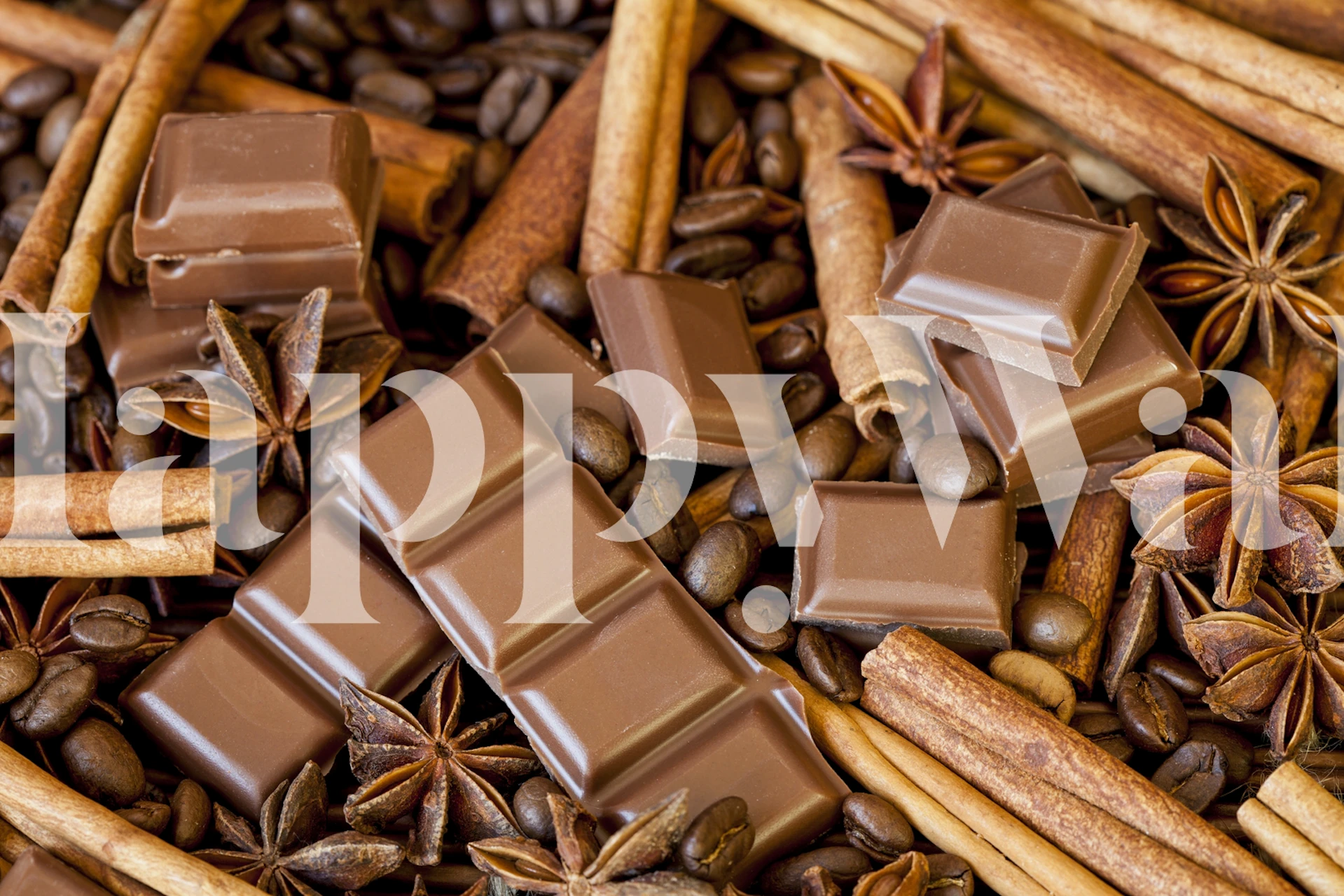 Čokoladice s cimetom i zvjezdastim anisom zidna slika