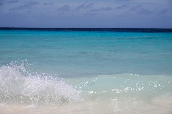 Caribbean Ocean Beach Dream 11
