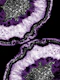 Yin Yang Agate Glitter 15