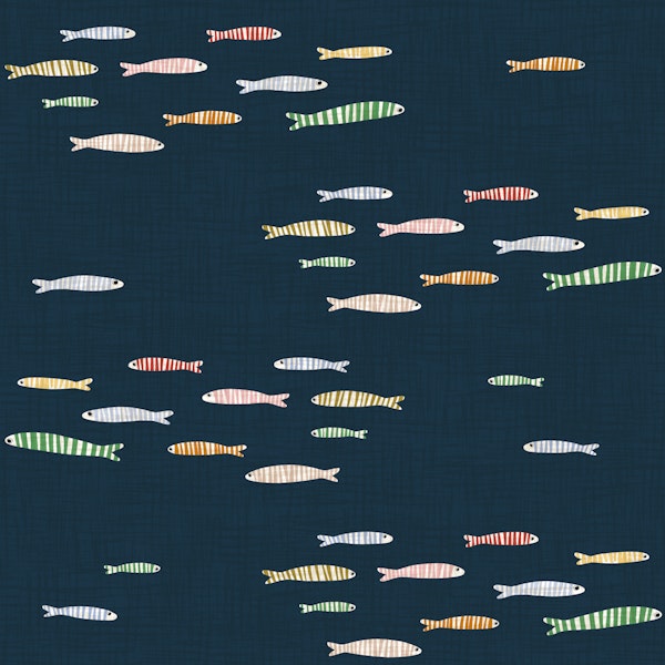Colorful Striped Fish School