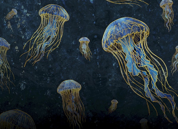 Golden Tide Jellyfish