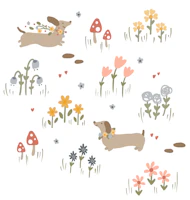 Dachshund and Wildflowers tapetas