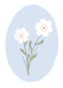 Scandi Daisy