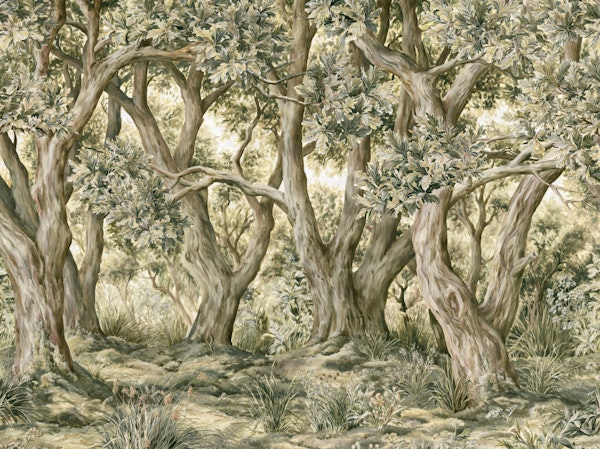Enchanted Woodland Grove