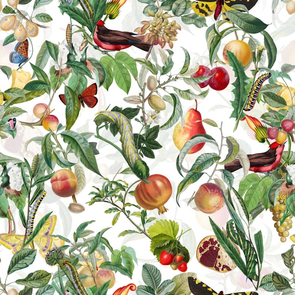 Blooming Orchard 01
