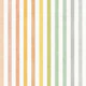 Earth Tone Stripes Muted Rainbow