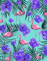 Tropical Flamingo Hibiscus 2 wallpaper