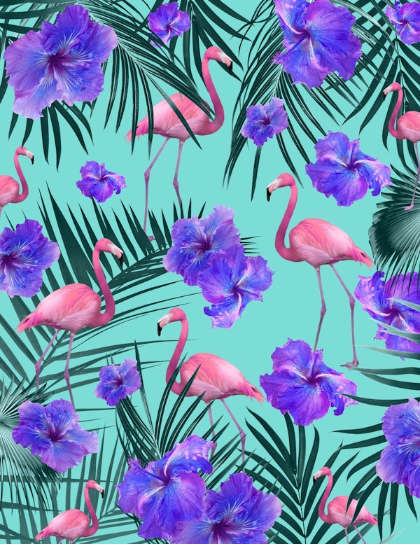 Tropical Flamingo Hibiscus 2