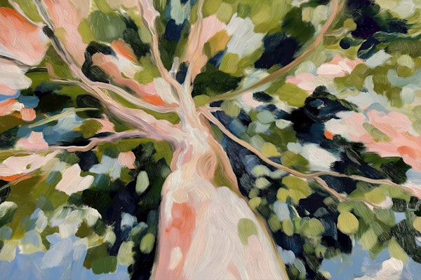 Abstract Eucalyptus Canopy
