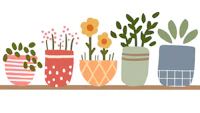 Indoor Plants tapete