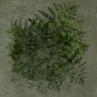 Moody Fern Botanical tapetit
