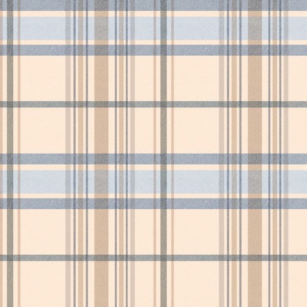 Soft Blue Beige Plaid