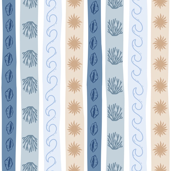 Coastal Stripe Seaweed Shells