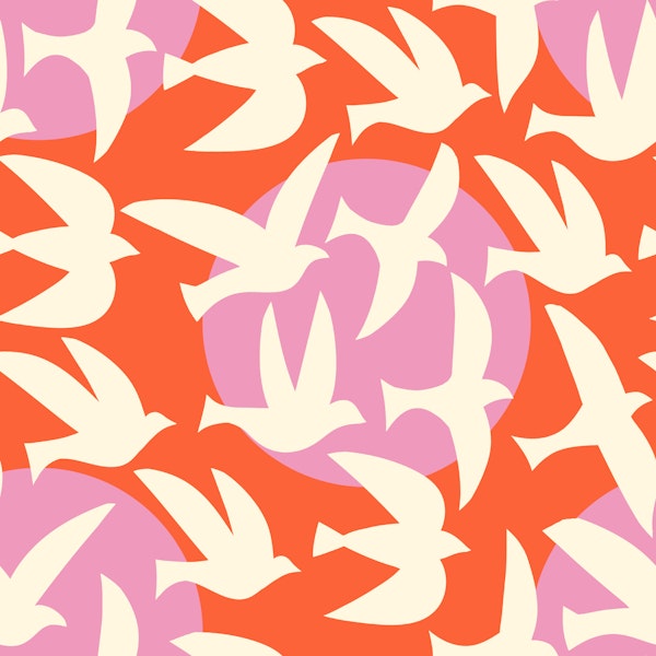 Flying Bird Silhouette Pink Orange Sunset
