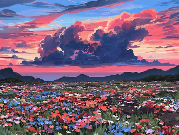 Sunset Wildflower Meadow