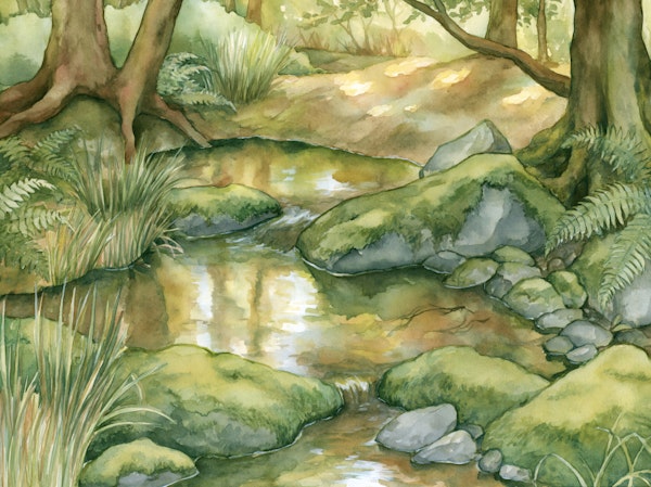 Watercolor Forest Creek