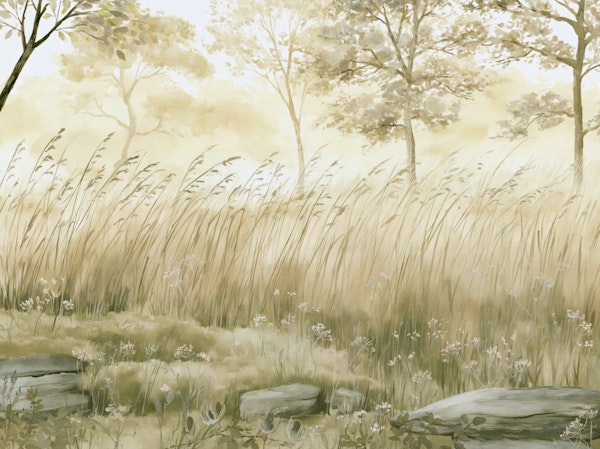 Soft Fog Forest Meadow