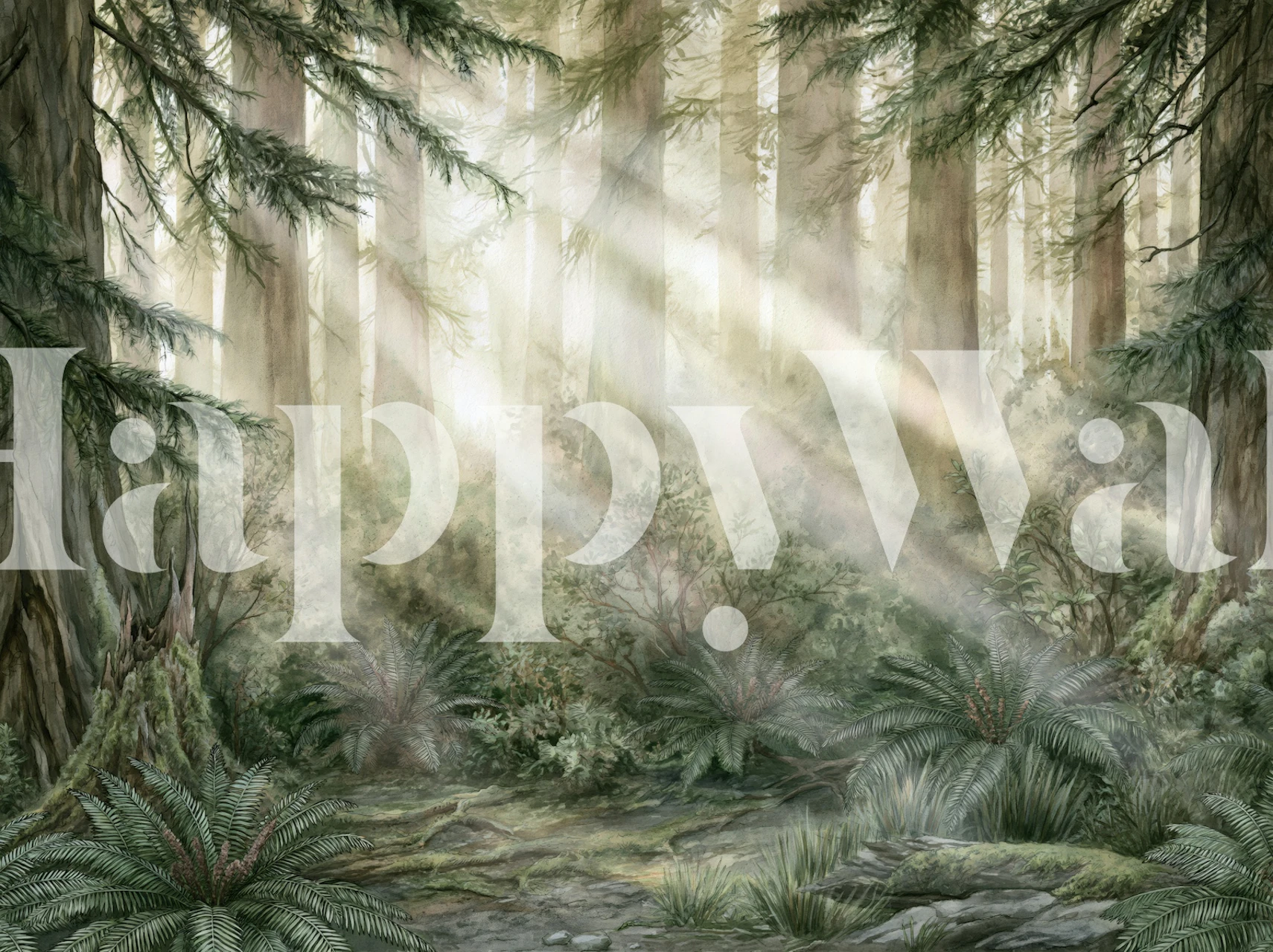 Misty redwood forest wallpaper in a living room